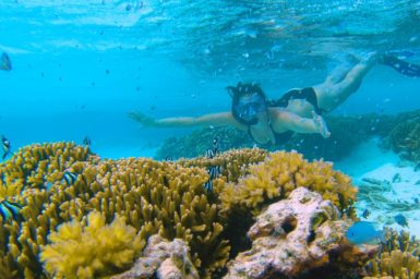 A person wearing a snorkel swims underwater behind a big and colourful coral.
