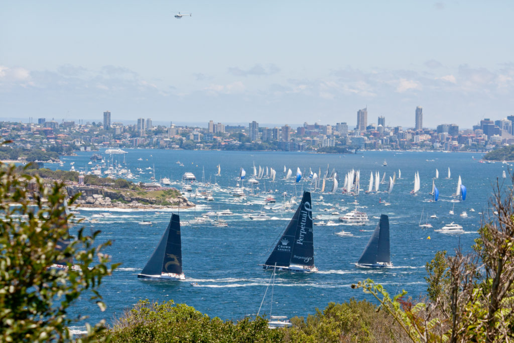 An image of Sydney Harbour. In the foreground there are three yachts with navy blue masts. In the background there are many other boats and yachts. 