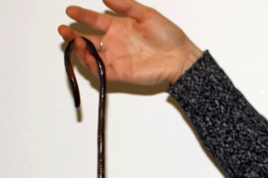 An earthworm being held in front of a white background