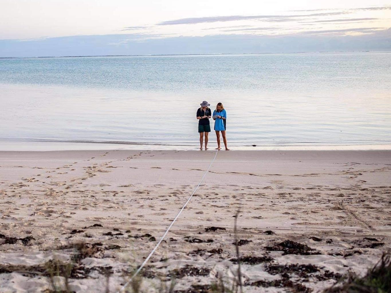 Two researchers in the distance with a measuring tape from the water’s edge towards the dunes at Ningaloo Reef.