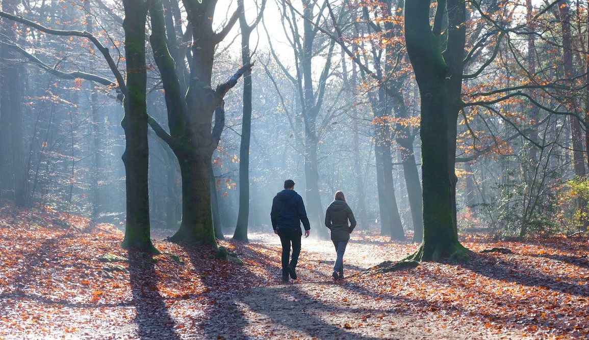 Two people walking in a forest outdoors.