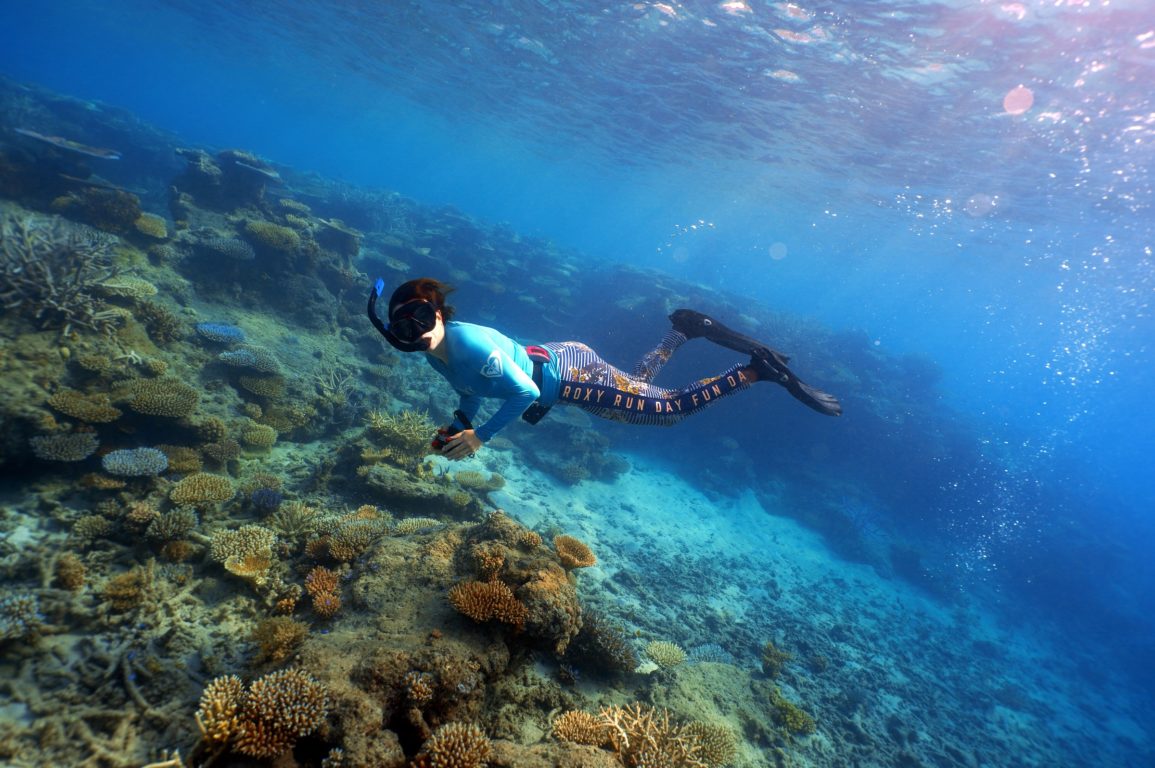 Lauren diving in the reef