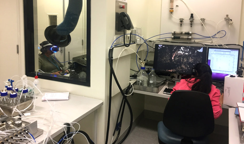 A photo of two people in a research lab. One person is experienceing virtual reality. The other person is controlling the experiment.