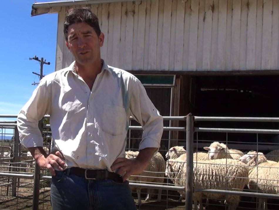 A man standing in front of sheep. Online farming tools