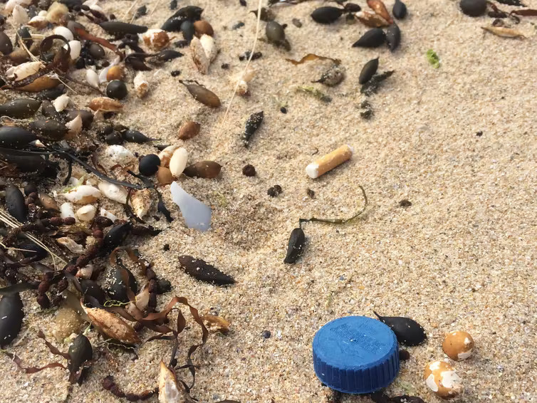 A photograph of different types of plastic pollution among the sand and seaweed on a beach.