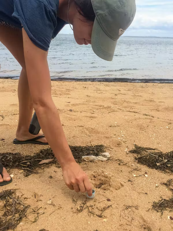 A photo of a person collecting plastic pollution in the sand on a beach.