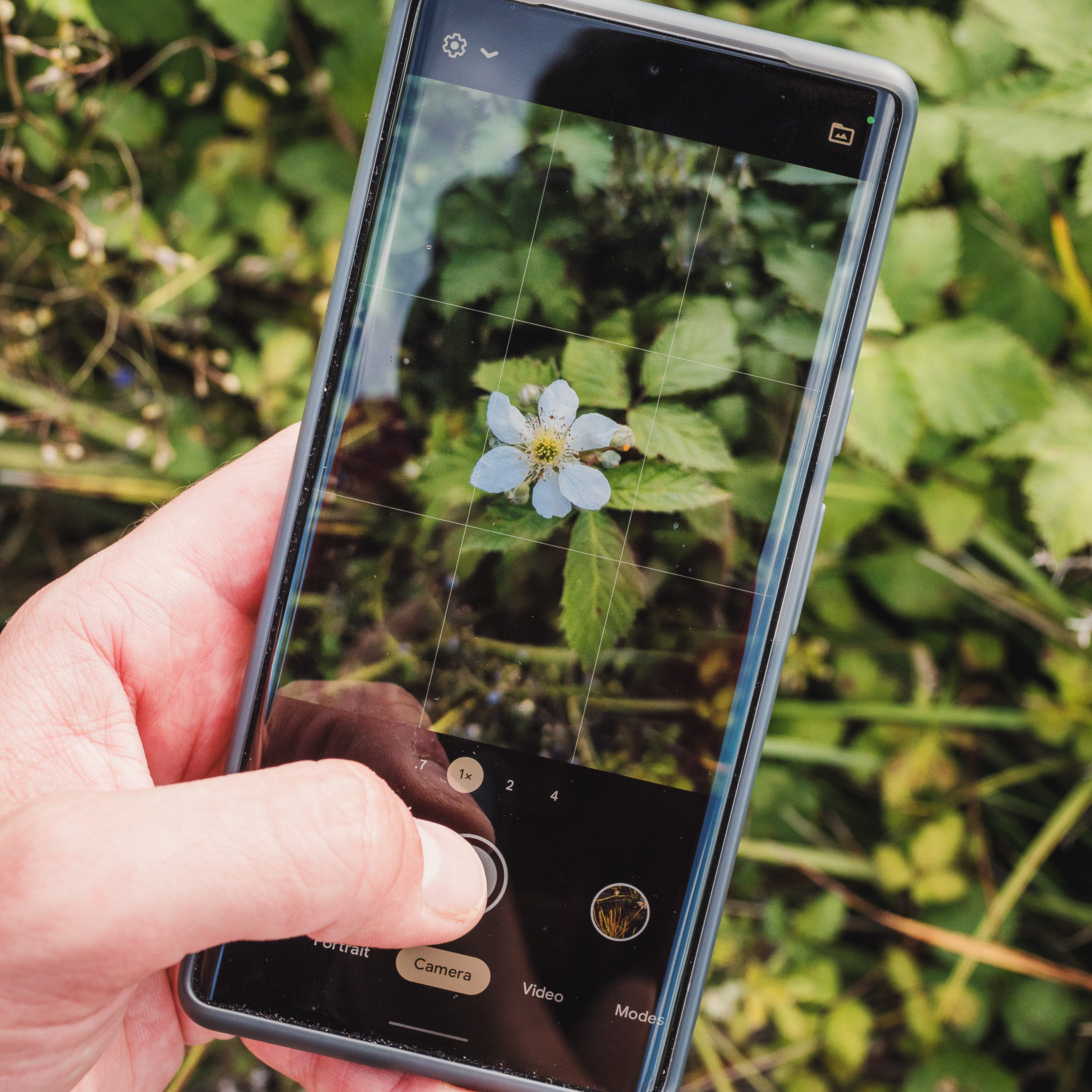 A photo of a hand holding a phone that is using the WeedScan app. Behind the phone is a photo of weeds.