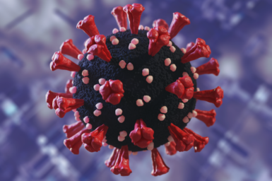 graphic representation of the covid-19 virus