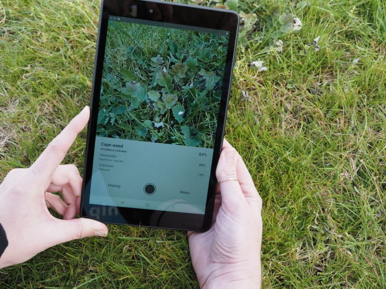 Hands holding a tablet device with the camera on showing weeds