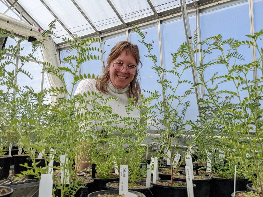 Researcher Sally Buck in a greenhouse