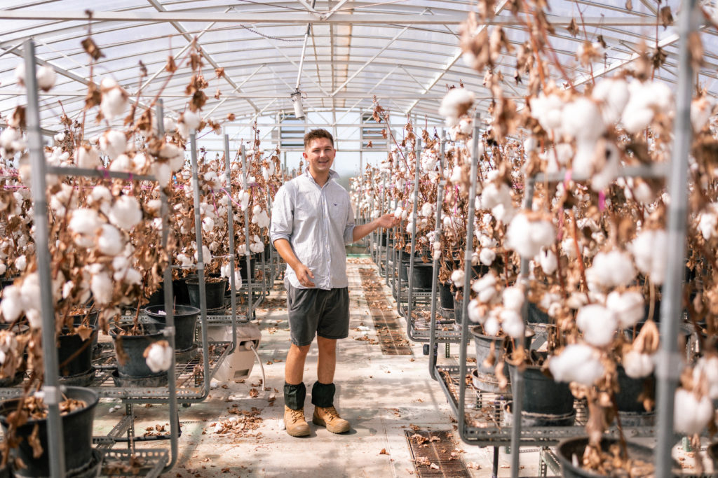 Ethan stands in a corridor between rows of cotton plants.
