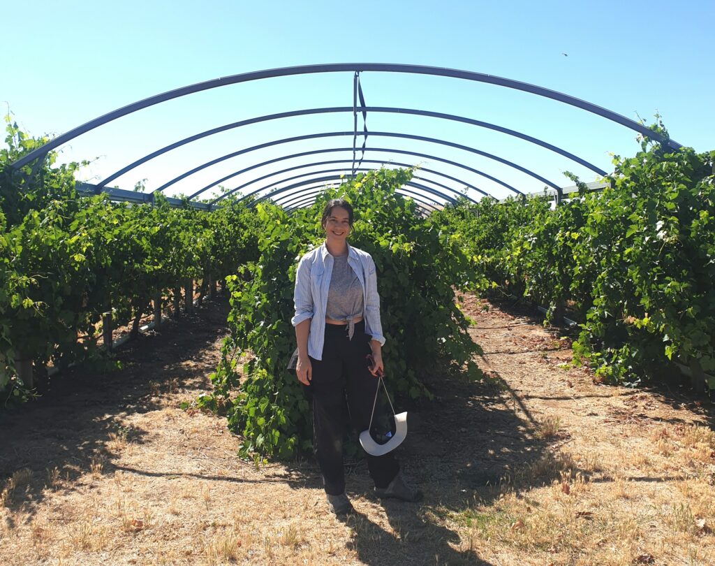 Young woman standing in a vineyard.