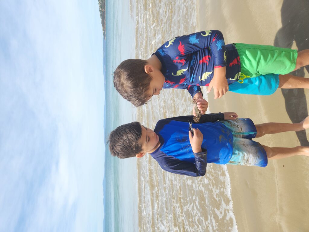 Two young children standing on a beach holding egg cases they have found.