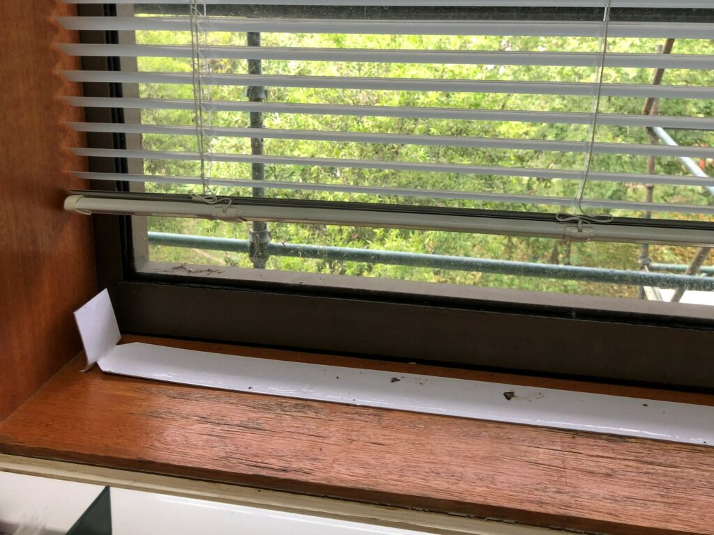 A strip of white sticky paper along the length of a window sill with several small insects trapped on the paper.